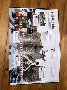 Minecrafti aastaraamat 2017 (3 foto / 3)