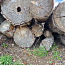 Полусухие березовые дрова (фото #1)