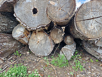 Полусухие березовые дрова