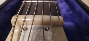 Gretsch Honeydipper (7 foto / 7)