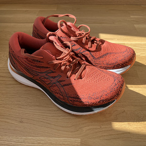 Asics jooksujalatsid Gel-Kayano 29, EU 43.5, US 9 1/2 (1 foto / 10)