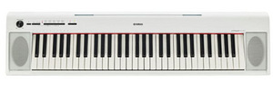 Digitaalne klaver Yamaha NP-12. Karbis.