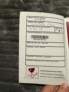 Skotlantilainen luppakorvainen kissanpentu (3 valokuva sivusta 5)