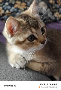 Kaksi ihanaa poikaa vielä vapaana! (1 valokuva sivusta 7)