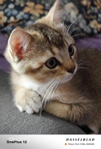 Kaksi ihanaa poikaa vielä vapaana!