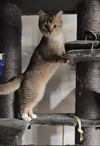 Kaksi ihanaa poikaa vielä vapaana! (2 valokuva sivusta 7)