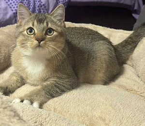 Kaksi ihanaa poikaa vielä vapaana! (7 valokuva sivusta 7)