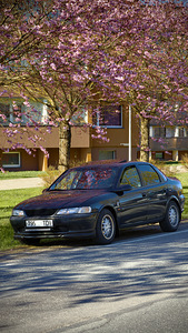 Opel Vectra (1 фото из 11)