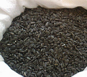 Saulespuķu sēklas 10kg melnās (4751004142277) (1 foto no 1)