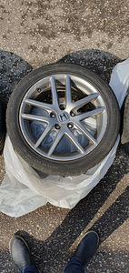 Honda 17" диски + резина (7 фото из 10)