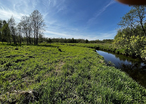 Maretsaare, Kõveriku, Mustvee vald, Jõgevamaa (2 фото из 10)