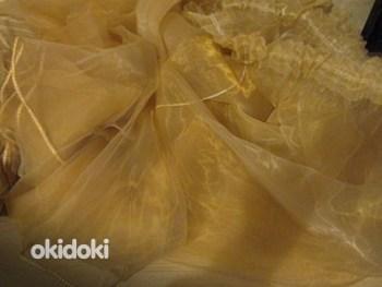 Uued organza kardinad, pikkus 6m kõrgus 2,50m