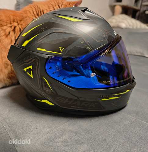 Shark skwal i3