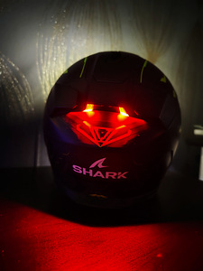 Shark skwal i3 (4 foto / 4)