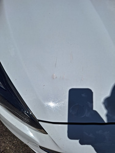 Ford Focus (14 foto / 15)