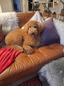 Astutukseen halutaan (1 valokuva sivusta 1)