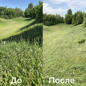 ПОКОС ТРАВЫ. УБЕРУ ЛЮБОЙ УЧАСТОК ЗА 1 ДЕНЬ! (1 фото из 3)