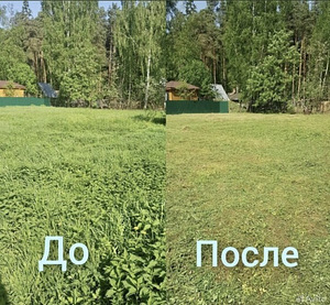 ПОКОС ТРАВЫ. УБЕРУ ЛЮБОЙ УЧАСТОК ЗА 1 ДЕНЬ! (2 фото из 3)