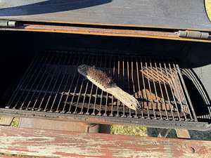 Grill (3 foto / 5)