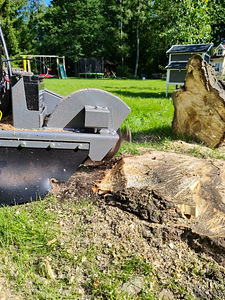 Kändude freesimine, kändude eemaldamine, kändude väljajuurimine. (3 foto / 4)