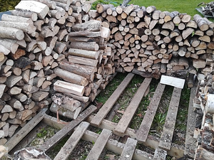 Сухие дрова 40л (1 фото из 10)