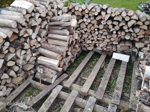 Kuivad Küttepuud 40l