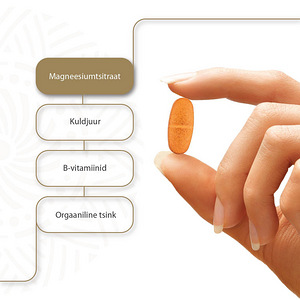 Magnesium Pro Expert ZEN N30 tabletid (3 foto / 4)