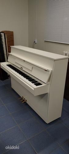 Valge pianiino Hellas (foto #3)