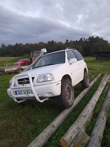 Suzuki vitara metsakas. (1 foto / 8)