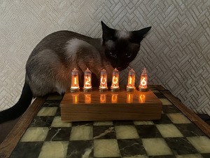 Nixie lauakell raadiolambid roosipuu. Kingitus. Zodiac Lab (7 foto / 7)