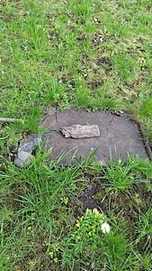 Terase tn 37, Jõhvi, Jõhvi vald, Ida-Virumaa (28 фото из 28)