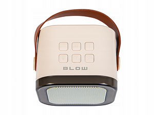 Bluetooth karaoke komplekt (4 foto / 9)