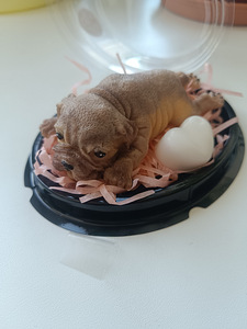 Käsitsi valmistatud seep (3 foto / 10)