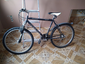 Classic Freeride (4 foto / 4)