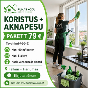 Korteri koristus koos aknapesuga. (3 фото из 3)