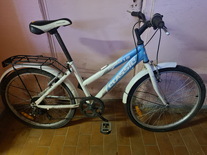 Lasteratas Classic ja Trek (3 foto / 5)