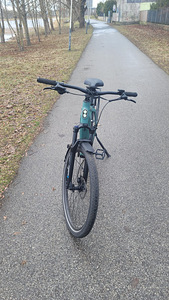 Elektrijalgras Tenways CGO600 Electric Bike 250W L raam 29" (1 foto / 6)