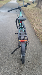 Elektrijalgras Tenways CGO600 Electric Bike 250W L raam 29" (4 foto / 6)