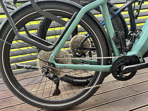 Elektrijalgras Tenways CGO600 Electric Bike 250W L raam 29" (5 foto / 6)