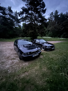 BMW E39 520i 2002 (7 фото из 11)