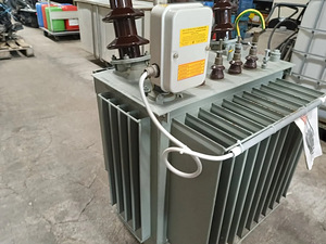 Pauwels Trafo 100 kVA Power Transformer – (2 foto / 3)