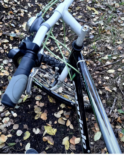 Jalgratas Capriolo Passion 26 MTB