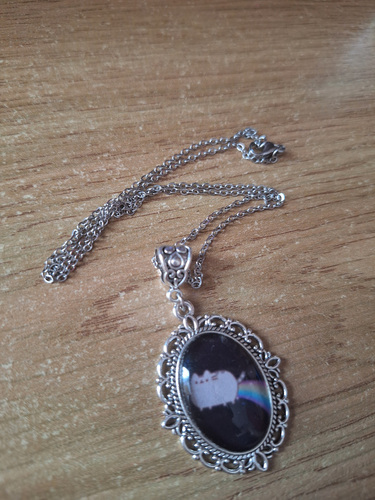 Rainbow pusheen necklace