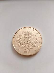 Narva ja Ivangorodi kindlustele pühendatud kullatud medal (2 foto / 3)