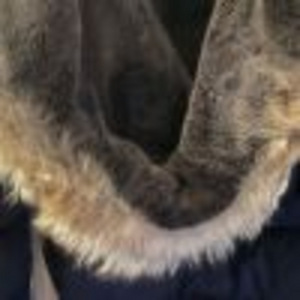 Детская куртка PARAJUMPERS, оригинал, Young/Small (4 фото из 8)