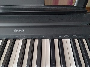 Дигитальное пианино Yamaha P-35 (4 фото из 5)
