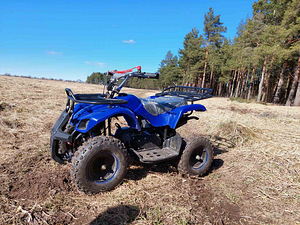 Motax X-50 ATV (1 foto / 3)