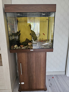 Müüa Juwel akvaarium koos originaalkapiga (1 foto / 4)