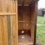 Деревянный туалет (фото #3)