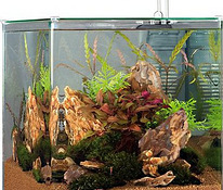 Akvaarium Eheim Aquastyle 35 l